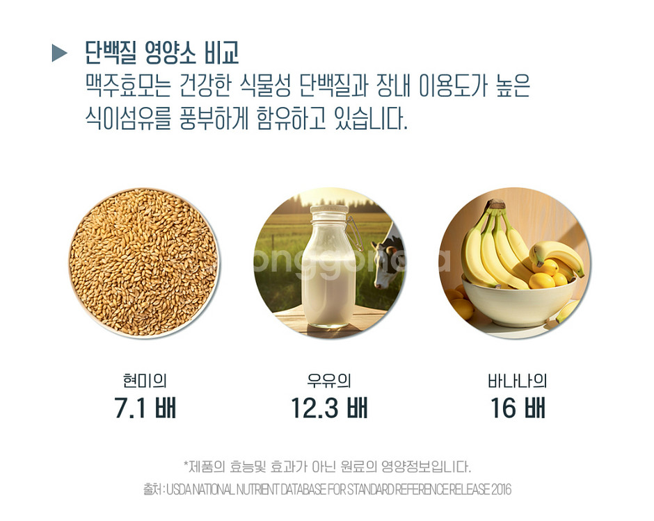 리투아니아 베타카로틴 식이섬유풍부 맥주효모가루--3