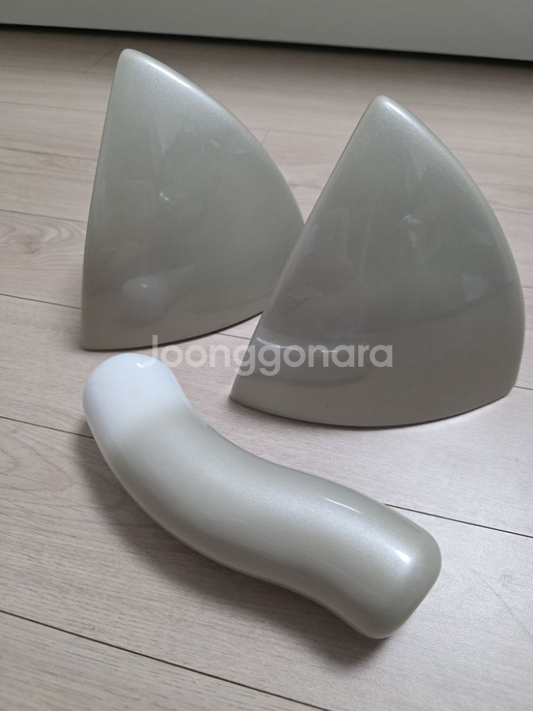 레이 악세서리 귀,꼬리 세트 판매해요--1