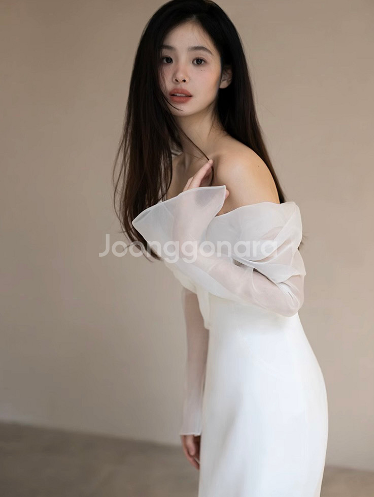 오간자실크 머메이드 웨딩드레스 새상품 2XL 66 77--2