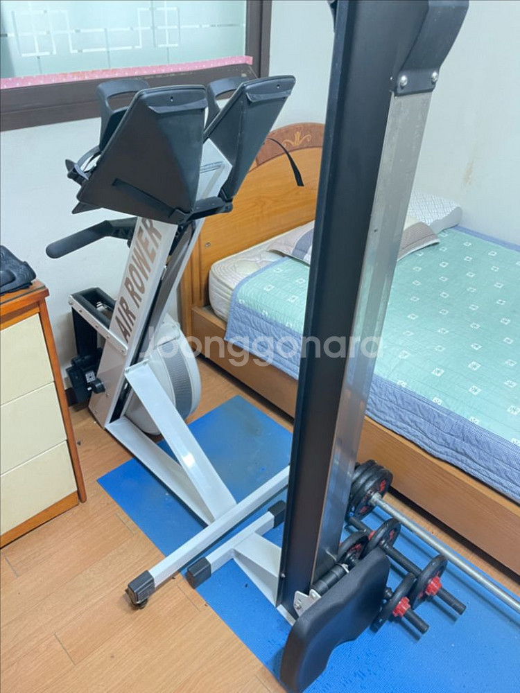 짭셉2--0