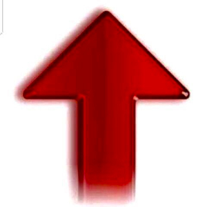 라스 은종 금종 300종부터판매