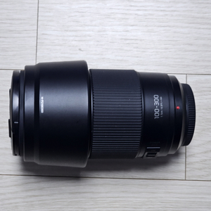 파나소닉 루믹스 100-300mm F4-5.6 Ⅱ 신형