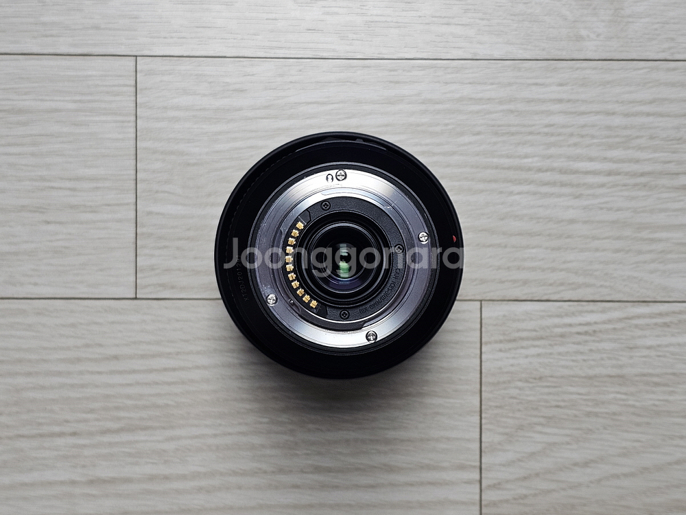 파나소닉 루믹스 100-300mm F4-5.6 Ⅱ 신형--2