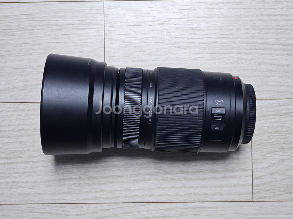 파나소닉 루믹스 100-300mm F4-5.6 Ⅱ 신형--3