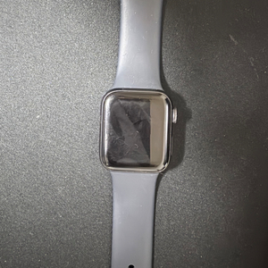 애플워치 se