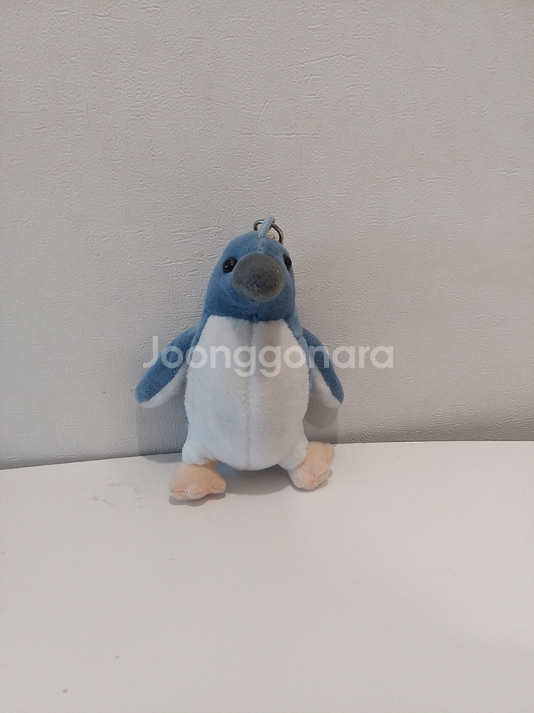 뉴질랜드 쇠푸른펭귄(꼬마펭귄) 인형 키링--0