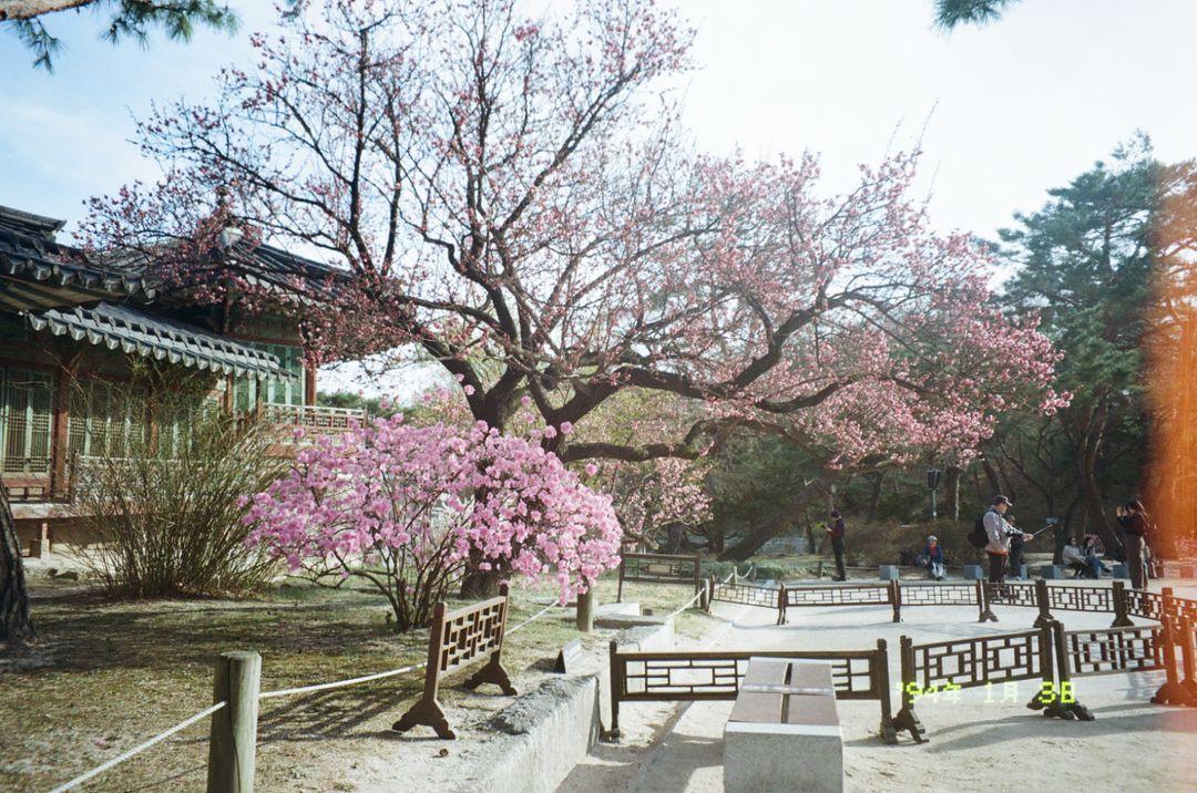 캐논 오토보이 루나 xl 이미지