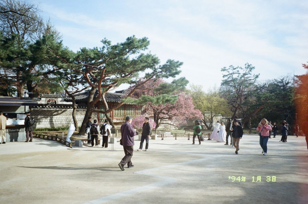 캐논 오토보이 루나 xl 이미지