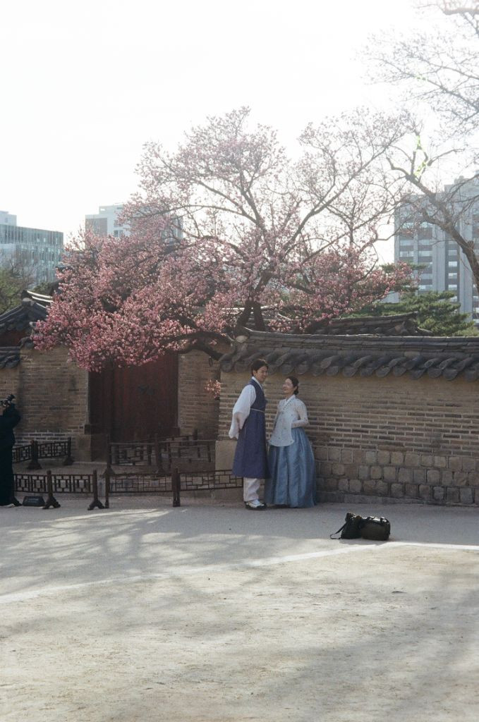 캐논 오토보이 루나 xl 이미지