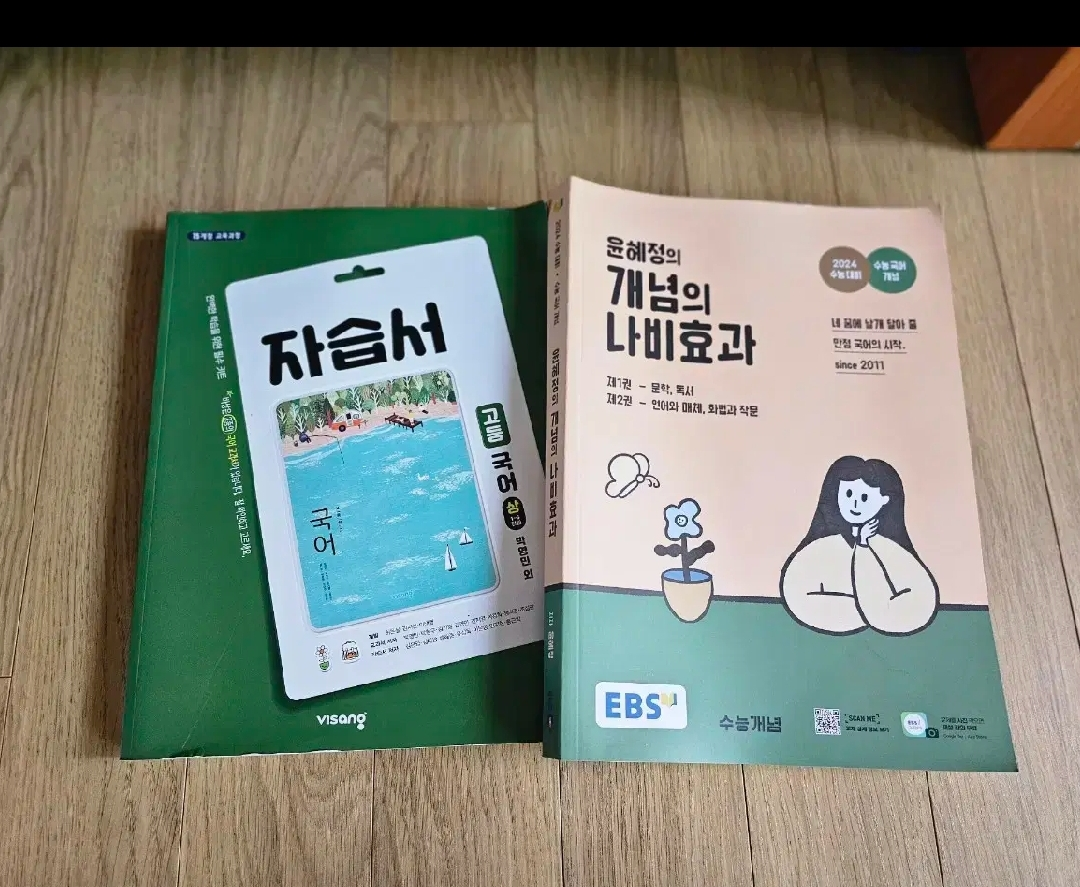 고등국어,개념의 나비효과