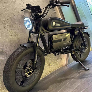 블랙워리어 전기자전거 1500W