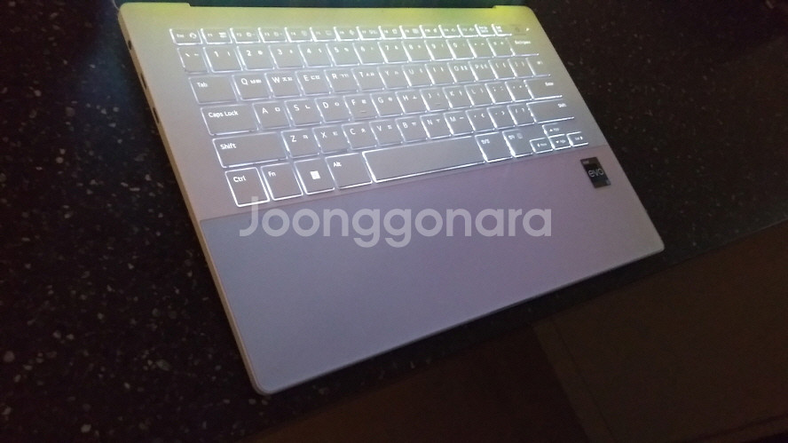 LG 그램 스타일14/램16G,OLED--4