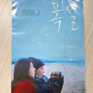 영화 [폭설] 포스터