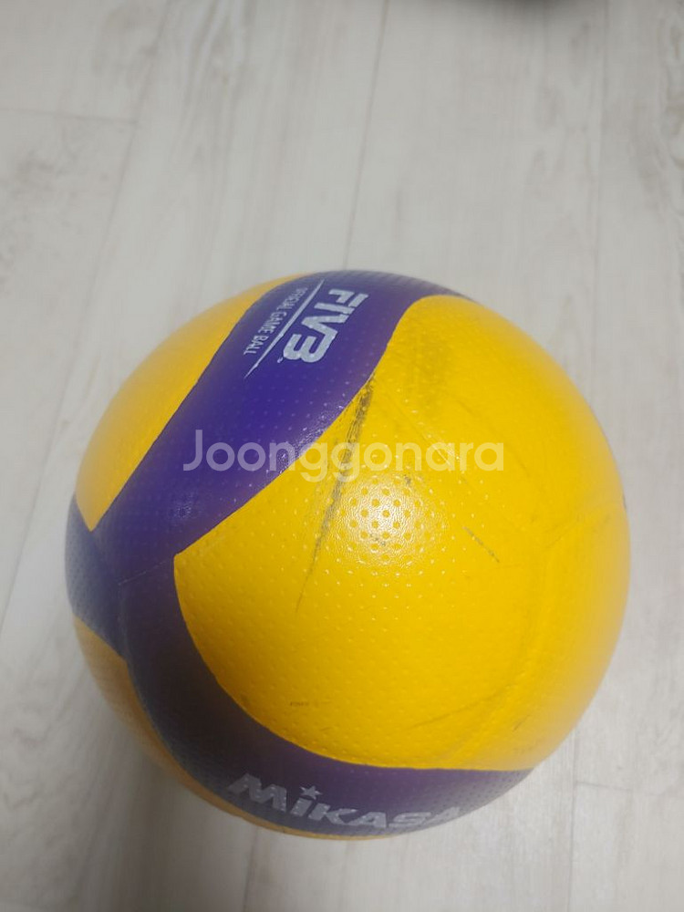 미카사 v200w--1