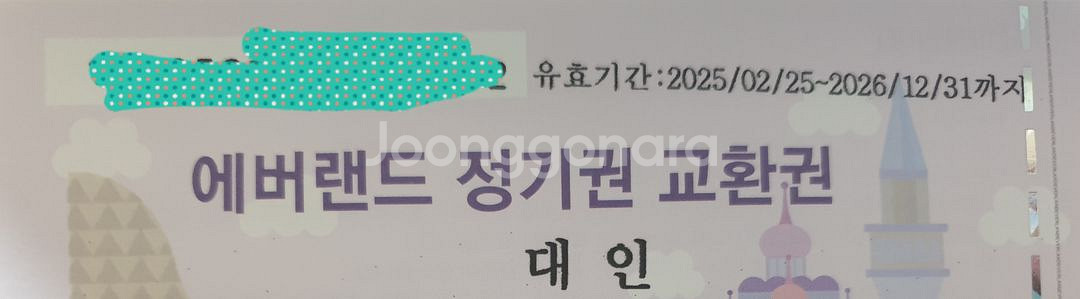 에버랜드 정기권 365 스탠다드 대인--0
