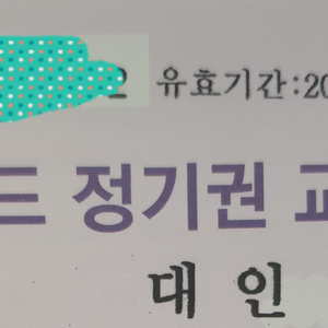 에버랜드 정기권 365 스탠다드 대인