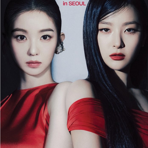 2025 아이린 슬기 BALANCE &스탠딩석콘서트