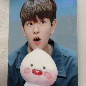 스트레이키즈 스키즈 승민 리노 a3 액자 판매