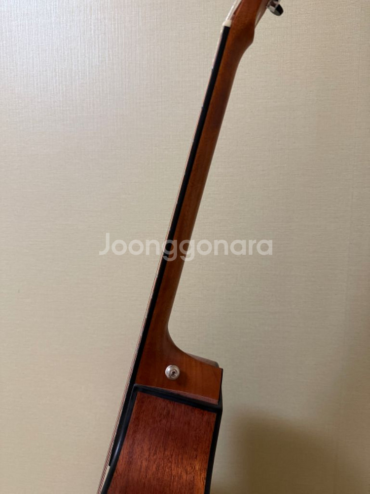 고퍼우드 기타 G130C--4