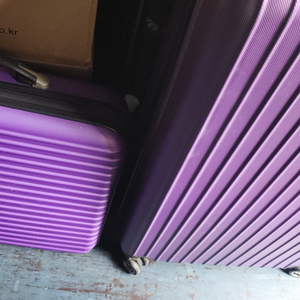 리치웨이 바이오매트 프로와 미니