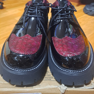 EUR42/270)유광 더비 슈즈 블랙/와인