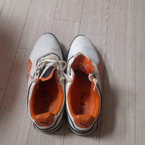 골프화255