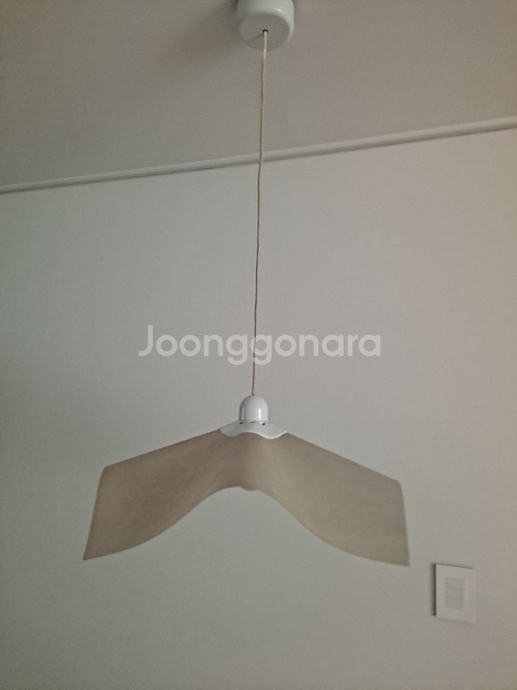 Area 50 펜던트 조명 (판매유보)--0