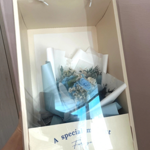 비누꽃