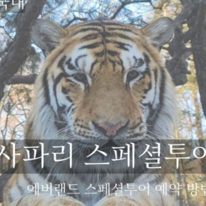 에버랜드 사파리 스페셜 투어 구매 희망합니다