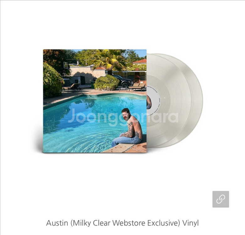 포스트말론 - Austin LP--2