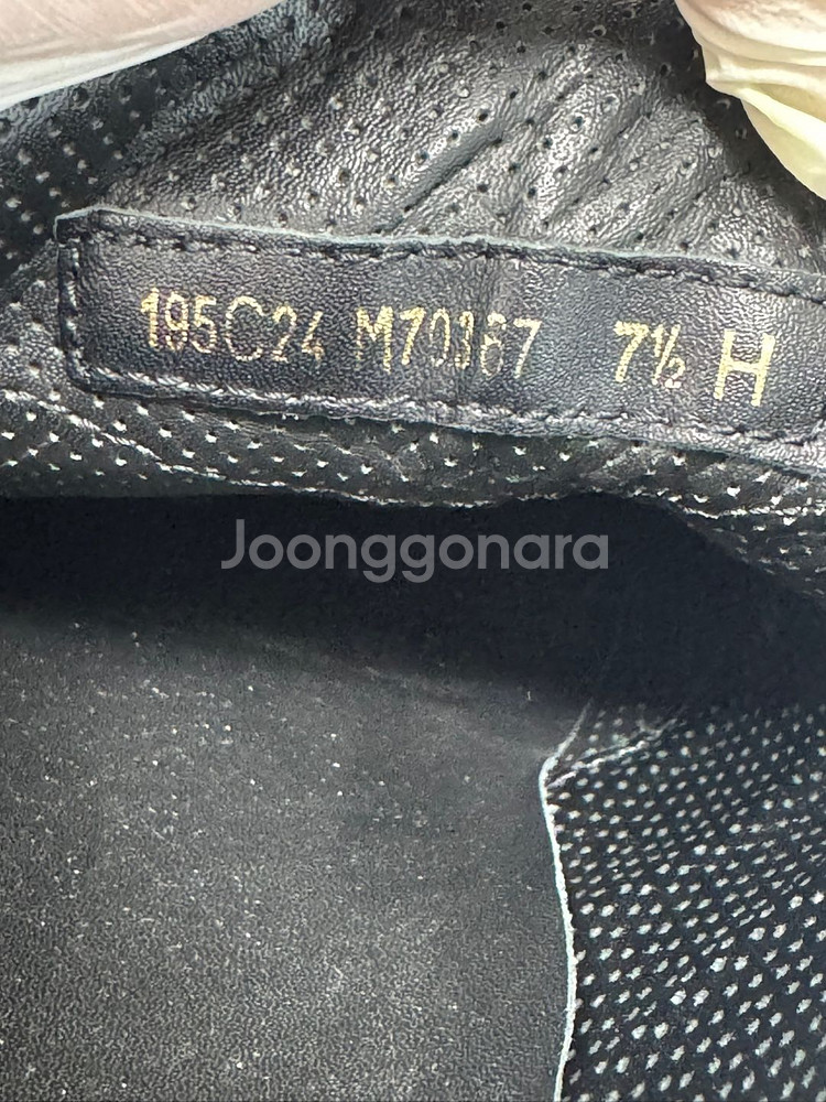 265 테스토니--5