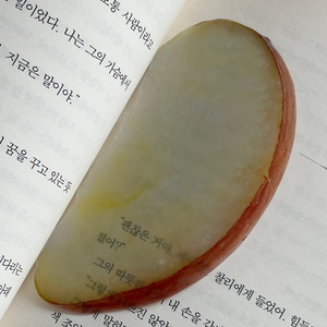 이옥토 사과 책갈피 (B급)