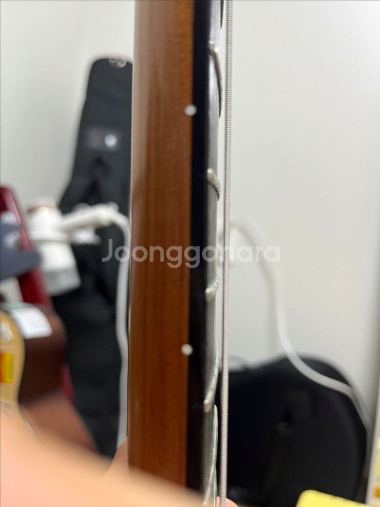 길무어 텔레케스터--4