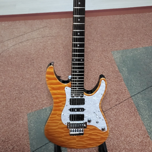 일렉기타 schecter japan