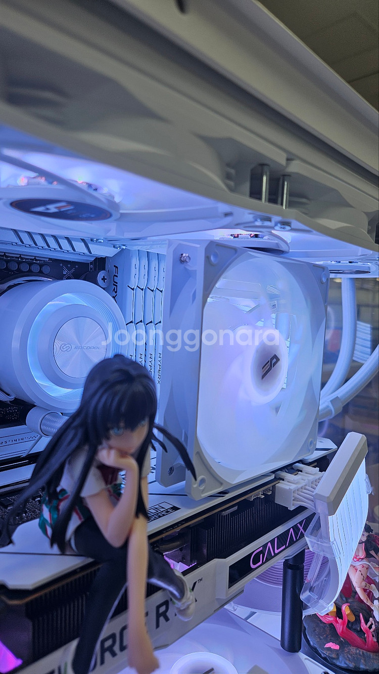 13900 / RTX3090--3