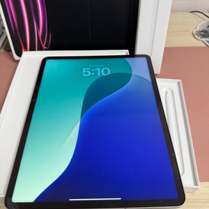 아이패드 프로 6세대 12.9 m2 256 셀룰러 애펜