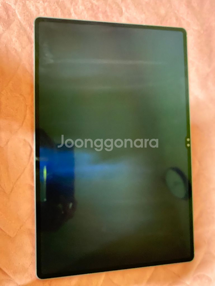 갤럭시 탭 S10 Ultra 1TB WIFI--1