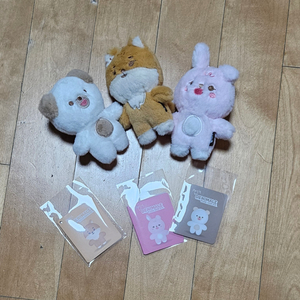데이식스 데니멀즈 쁘띠멀즈 케필돈