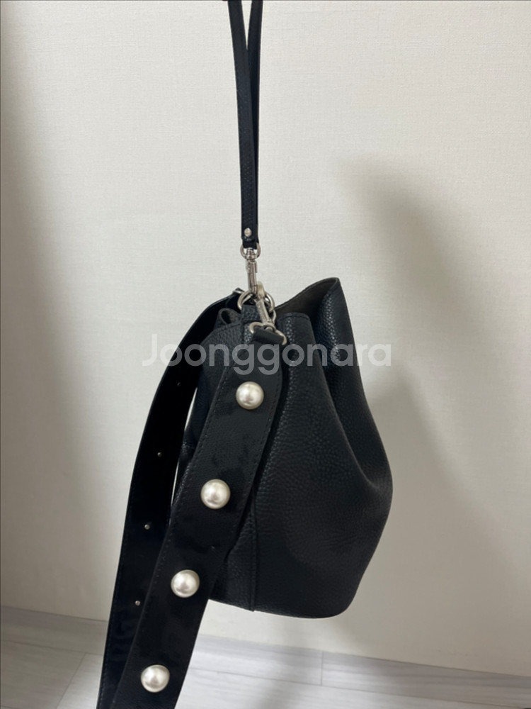 파인드카푸어 핑고백--0