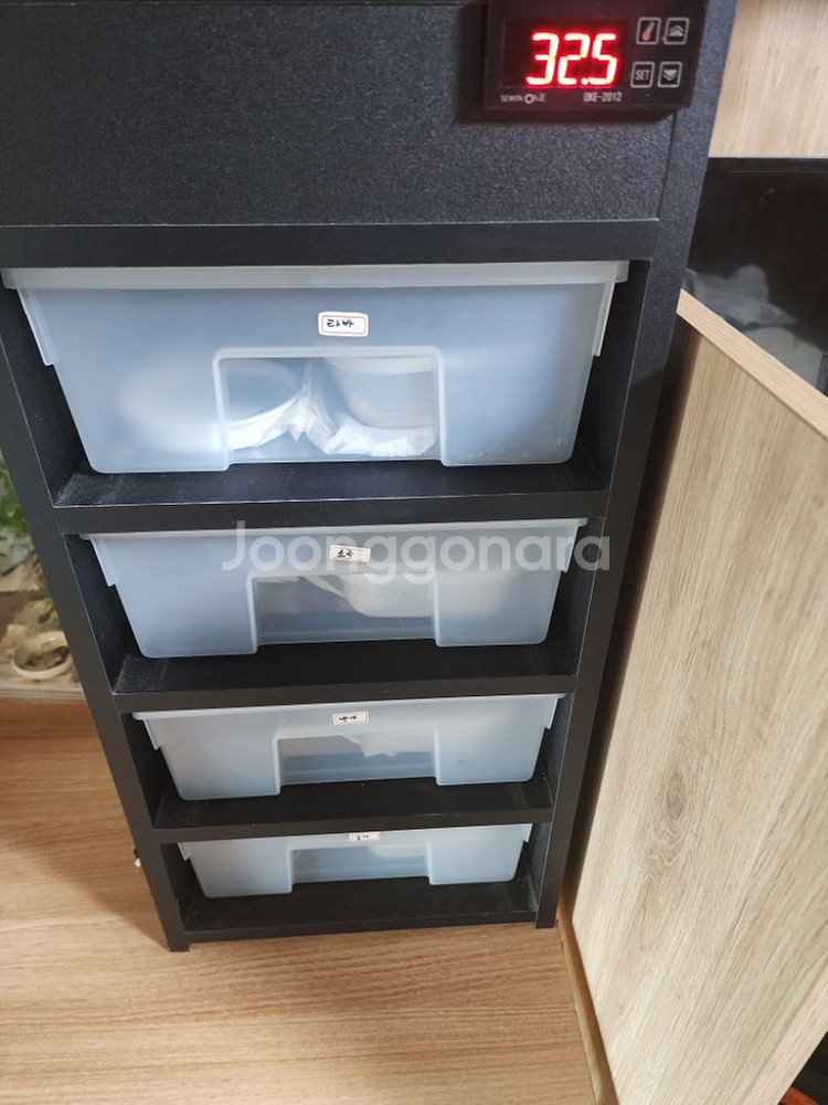 레오파드게코 사육 풀세트--0