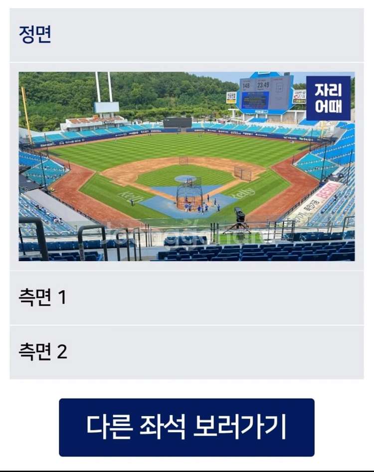 삼성라이온즈 4월 25일 스카이 상단 1석 정가양도--1