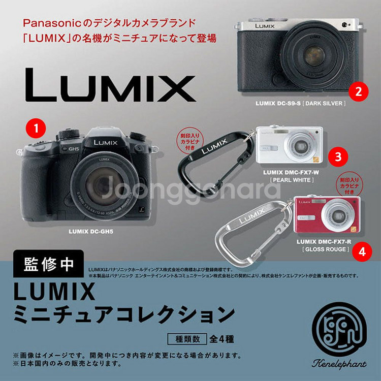 LUMIX 루믹스 카메라 가챠 미러리스 디카 일본키링--0