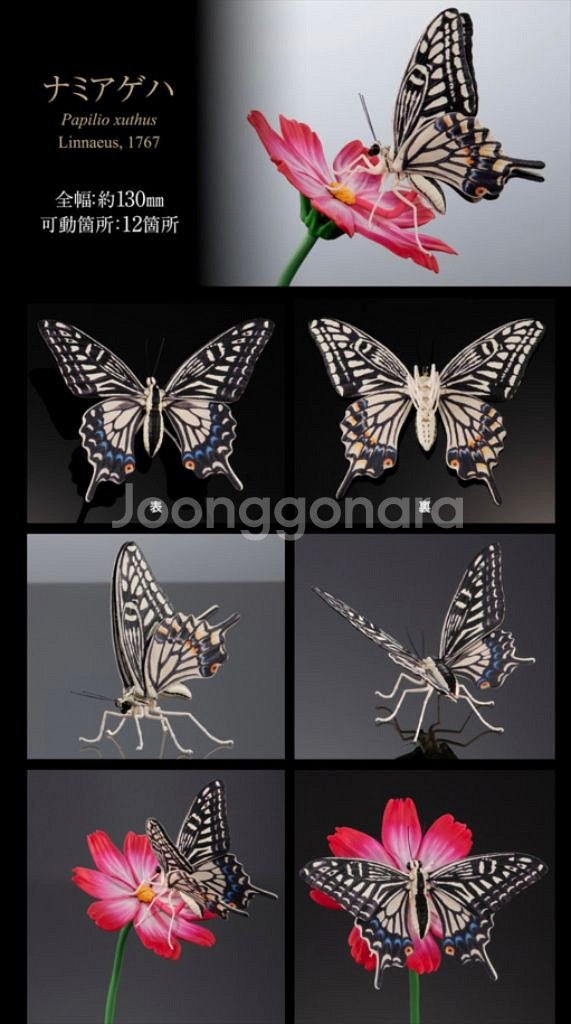 반다이 가챠 생물대도감 호랑나비 (새상품)--1