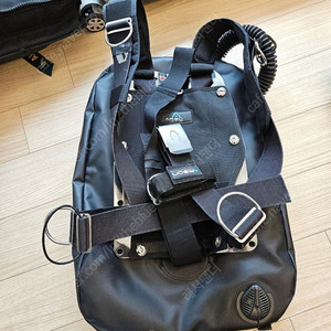 아펙스 WTX PSD 40파운드 비씨디 39만원