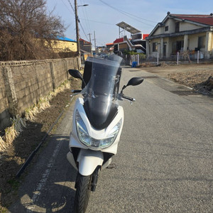 pcx125 17년식