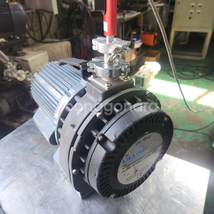 DIS 250--0