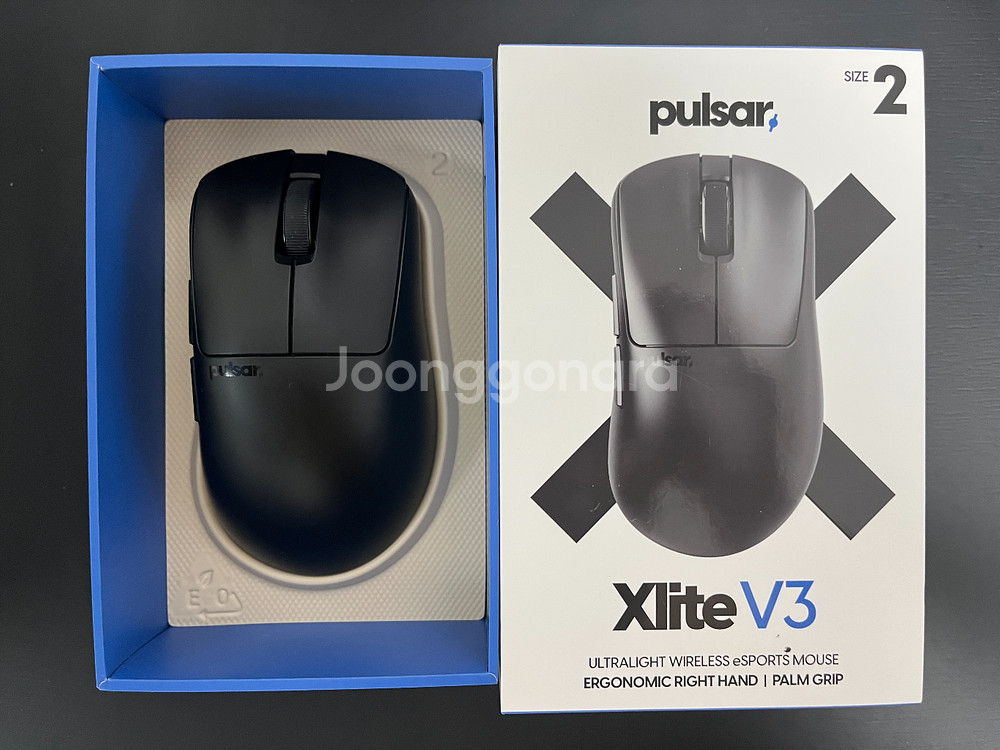 펄사 xlite v3 미디움--0