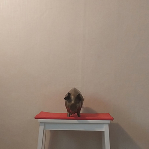 (소품/수집)황동 돼지저금통 팝니다.