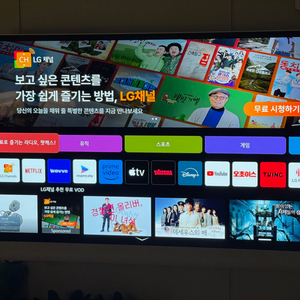 LG전자 오브제 포제 티비(48인치)