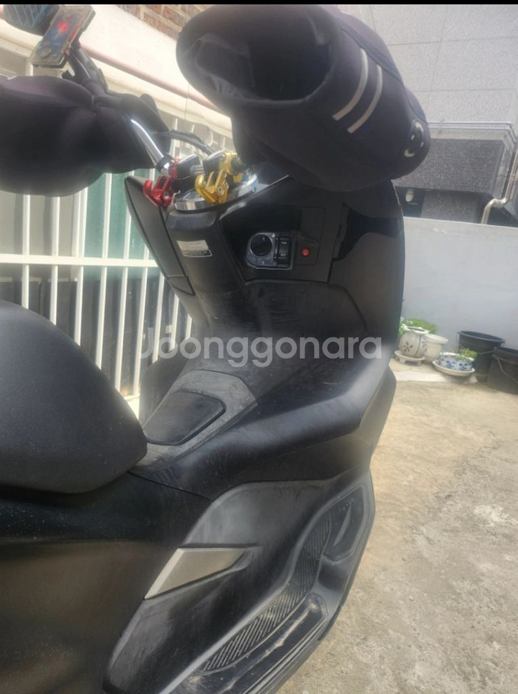 pcx 125 20년십--2
